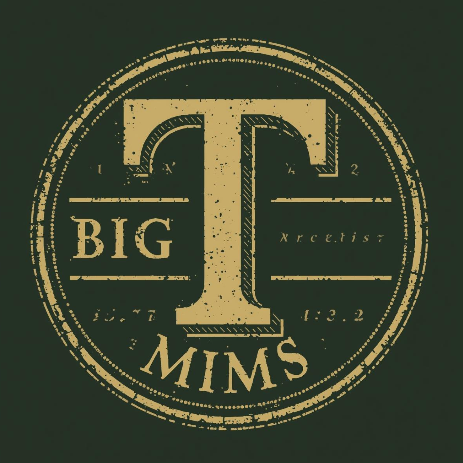 BigTMims